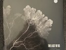 Pearl Jam 'Last of Us' RARE Black Metallic Splatter Vinyl