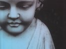ELBOW - The Take Off & Landing Of Everything (reissue) - Vinyl (2xLP)