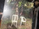 Bad Bunny DeBÍ TiRAR MáS FOToS Double Vinyl Gatefold,New-Unopened - In Hand