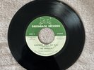 Everybody Party / Hum Along Song - The Firebolts 7” Vinyl Record (1976) RARE