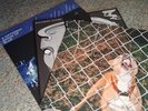Knocked Loose Never Spun A Different Shade of Blue Laughing Tracks Pop Culture