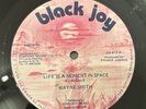 Wayne Smith - Life Is A Moment In Space RARE Reggae 12”