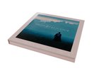 Pride & Prejudice Fan Box blue and pink swirl vinyl LE 1000 Presale