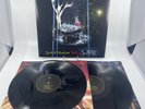 Panic  At the Disco All My Friends We're Glorious Death of a Bachelor Live Vinyl