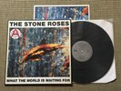 THE STONE ROSES WHAT THE WORLD..  12
