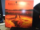 EU IMPORT*ALICE IN CHAINS DIRT LP ON COLUMBIA RECORDS 2009 nm 180 gram