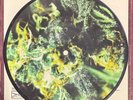 BRUTAL TRUTH / RUPTURE 'Kindbud' Pic Disc 7
