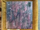 Sleep Token - Even In Arcadia - Translucent Gold Vinyl only 4 issues per store
