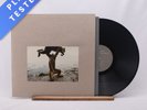 Shellac Dude Incredible A B 180G LP Album Vinyl Record TG404LP - NM/EX
