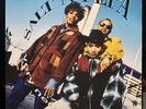 Salt N Pepa / Very Necessary    LP  Next Plateau 828-392