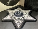 THE POLICE  Message In A Bottle  Ltd Edition Picture Disc  A&M PR4400 EX+/EX+