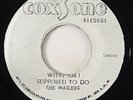 Wailers/Jackie MIttoo 