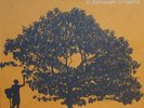 Jack Johnson In Between Dreams vinyl LP NEW/SEALED