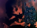 Yung Lean - Stranger 2LP Red Vinyl (VG+) '