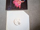 Black Sabbath Paranoid Vinyl LP First Press, UK, Vertigo Swirl
