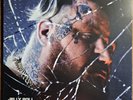 JELLY ROLL BALLADS OF THE BROKEN  RED WHITE BURST Vinyl LP 12