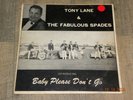 TONY LANE & The Fabulous Spades introducing baby Please Dont Go LP --RARE--