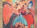 NUOVA IDEA Clowns LP Reissue 180gr Italian Prog Limited Edition Numbered 2009