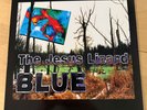 The Jesus Lizard Blue LP Jetset 1st press Melvins Nirvana AMREP