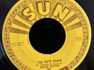 The Miller Sisters Ten Cats Down/Finders Keepers Rockabilly 45 SUN label 255
