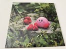 Kirby Dream Land Lofi Fan Project Vinyl Record 10” Not Moonshake VGM OST Game