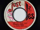 Latin Northern Soul 45 - Pepe Romo - Let The Tears Fall - Just Des Guyana
