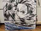 Demon Slayer Tanjiro Kamado Risshi Hen Soundtrack Vinyl LP Record KimetsunoYaiba