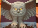Rush-Fly By Night LP 1975 Mercury SRM-1-1023 w/ Insert VG+/VG