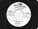ROCKABILLY 45- FOUR TEENS - GO LITTLE GO CAT / SPARK PLUG- HEAR - 1958 CHALLENGE