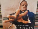 The Notorious B.I.G. (Born Again 12