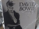 Loving the Alien (1983-1988) -15lp Black Vinyl Boxset by BowieDavid Record, 2018