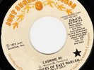 The Voices Of East Harlem '73 Cashing In DJ orig Just Sunshine VG Northern Soul