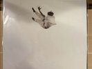 DANIEL CAESAR PILGRIM'S PARADISE SECONDTRACK EXCLUSIVE VINYL /1500