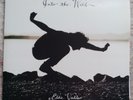 Into the Wild Eddie Vedder (Pearl Jam). Green Splattered Vinyl.