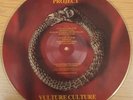 The Alan Parsons Project Vulture Culture Picture Disc 12