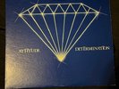 MARTIN DUMAS Attitude Belief Determination 12