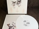 Evergreen By Broods White Color Vinyl LP Record 2014 Limited Edition
