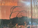C.A. QUINTET TRIP THRU HELL 1969 CANDY FLOSS 1ST PRESS PSYCH PROG ACID GRAIL LP