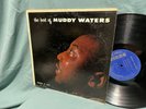 Muddy Waters  