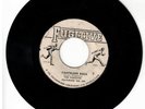 #38 SKA REGGAE 45 FUGITIVE LABEL THE FUGITIVES 