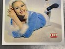 The Cardigans Life Vinyl LIKE NEW (30503540)