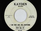 Garage Fuzz 45 - Bram Rigg Set - I Can Only Give You Everything - Kayden promo