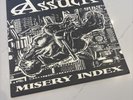 ASSUCK - Misery Index - 12