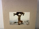 SHELLAC Dude Incredible LP 2014 Touch And Go Noise Math Rock Vinyl Record NO CD