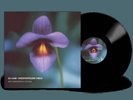 *PRESALE* DJ CAM: UNDERGROUND VIBES (30TH ANNIVERSARY) - LP vinyl