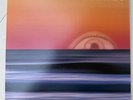 Free-Man Aaron Freeman Album Vinyl OG Pressing (Ween)