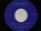 Surf Inst. 45 - Aquanauts - Rumble On The Docks/Bombora - Safari
