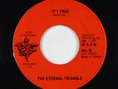Psych 45 - Eternal Triangle - It's True - New Syndrome Canada VG+