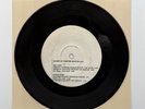 Made In South Bay Punk Rock 45 Compilation Demo Record Limited 100 Pressing