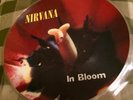 NIRVANA In Bloom 1992 Limited Edition 12
